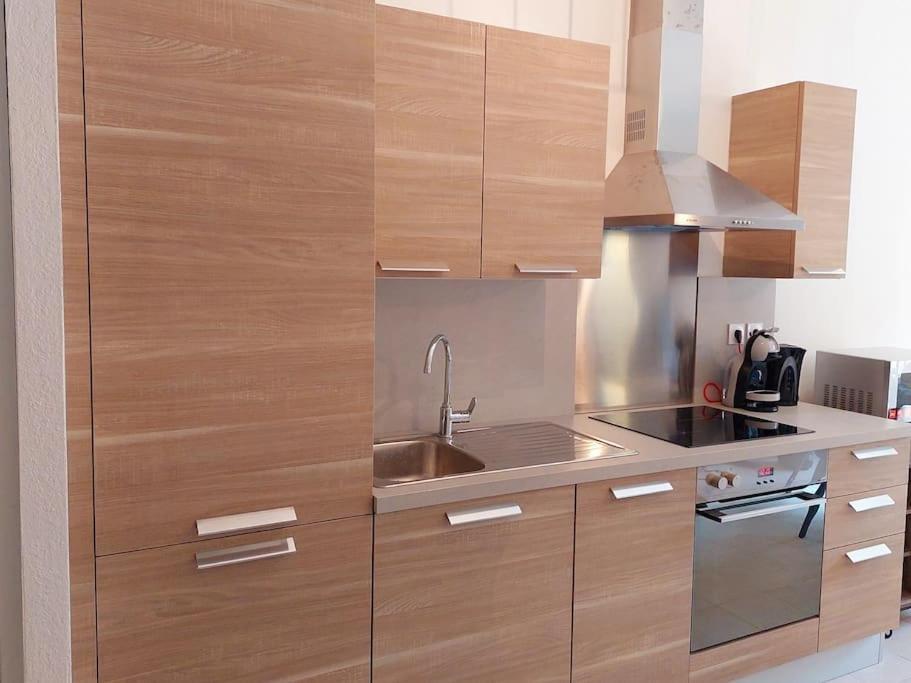 Appartement Roussillon Roussillon  Ngoại thất bức ảnh